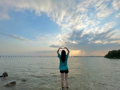 -宝安西湾红树林湿地公园