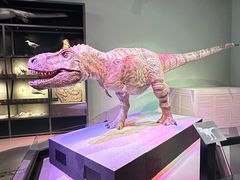 -香港科学馆