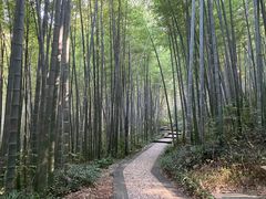 -南山风景名胜区