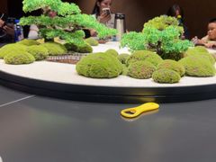 -阿露佳·舌尖上的安吉菜