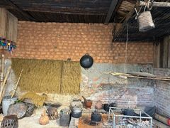 -西双版纳原始森林公园