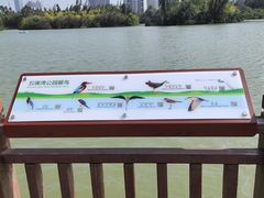 -五缘湾湿地公园
