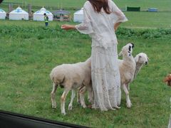 -呼和诺尔旅游景区