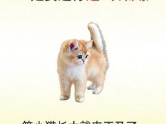 -守诺宠物医院·眼科· 神经外科·爬宠专科(虹口店)