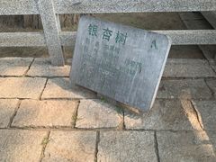 -天津盘山风景名胜区