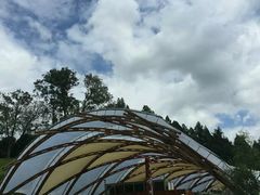 -怀托摩萤火虫洞