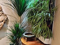 -慢丽江·云南野生菌土鸡锅(西山店)