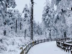 -瓦屋山景区