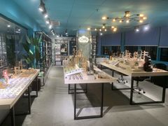 -Trend1881视光·蔡司视觉(领展广场店)