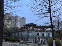 -桃花岛公园