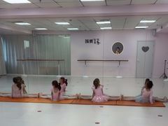 -墨舞舞蹈(顾村公园店)