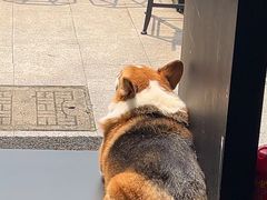 -简象咖啡CAFE ELE JANE(满陇桂雨店)