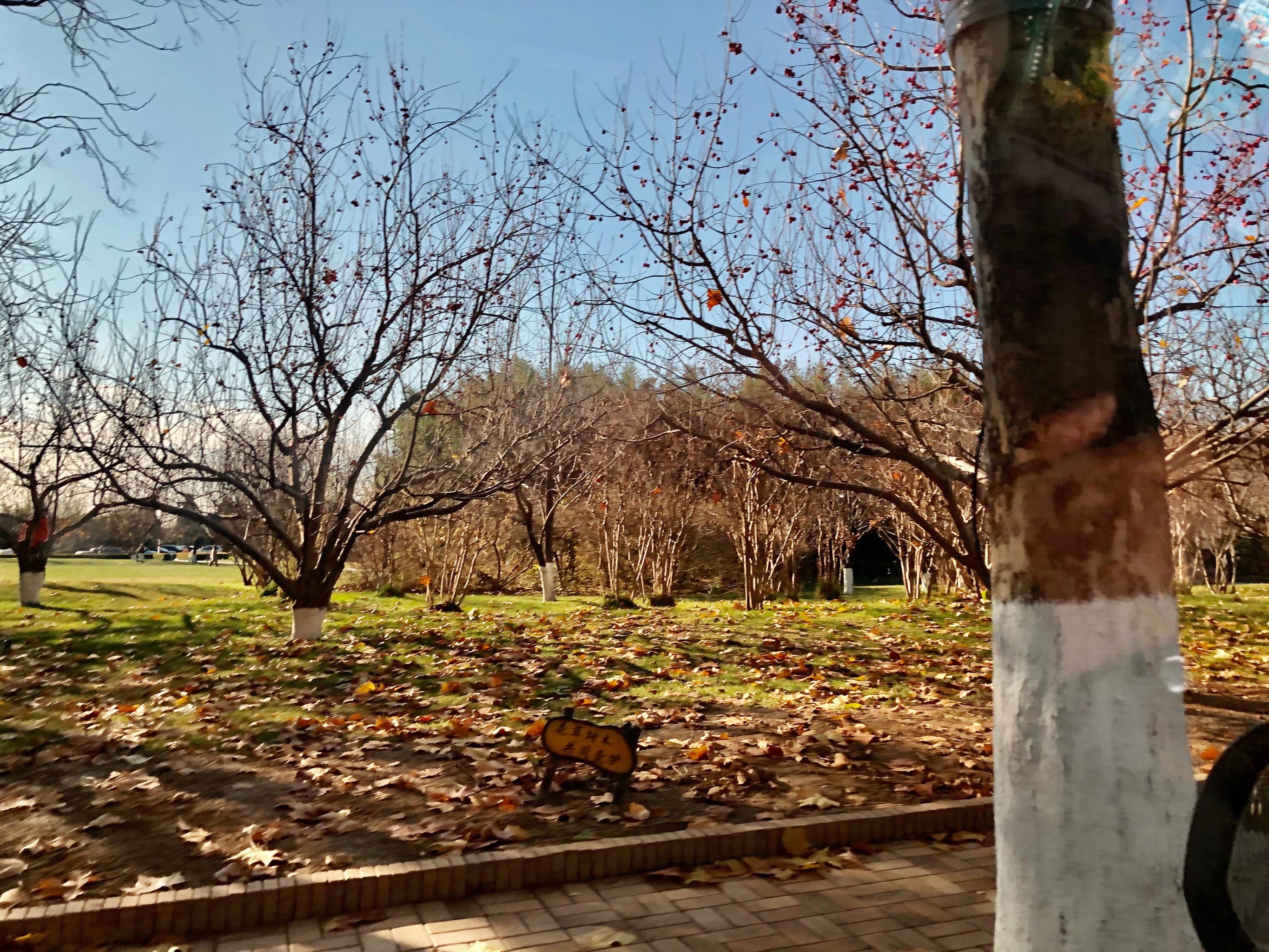 北七家天气在线