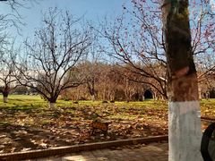 -春晖园度假酒店温泉