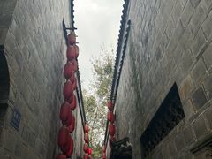 -芙蓉国粹川剧变脸秀(省川剧院)