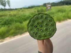 -怀来官厅水库