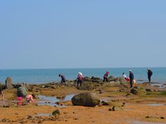 -日照灯塔风景区