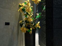 -清远熹乐谷温泉度假酒店