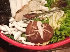 -额尔敦传统涮(公园西路店)