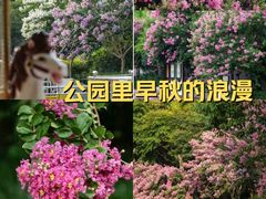 -杭州城北体育公园