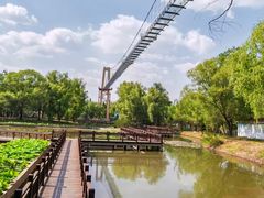 -滕州微山湖红荷湿地景区