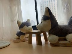 -Husky Go! 哈士奇体验馆·宠物咖啡厅狗咖