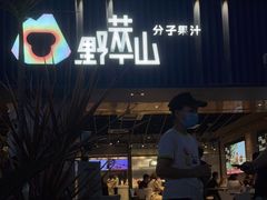 -野萃山·潮汕厚果汁(十亩地店)