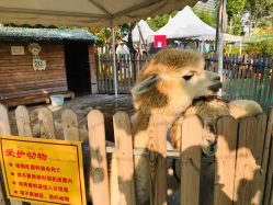 -萌宠亲子动物乐园(槐房万达店)