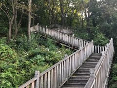 -帽儿山国家森林公园