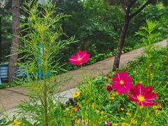 -云峰山自然风景区