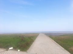 -南汇嘴观海公园