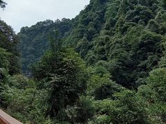-碧峰峡风景区