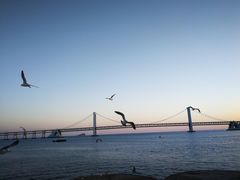 -星海广场