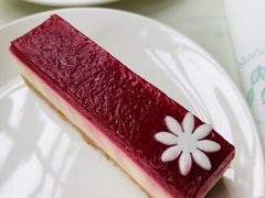 -Madeleine玛德琳(永平里店)