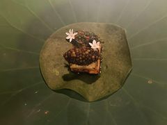 -三嚥阁 La Villa Restaurant