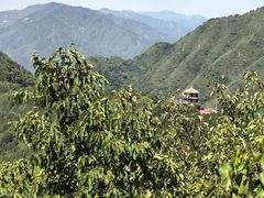 -香山公园