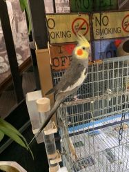 -日月刺青工作室·高端纹身