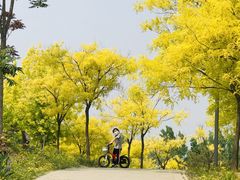 -东郊湿地公园