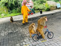 -洛阳花果山景区