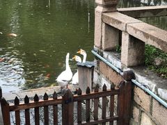 -苏州文庙(姑苏区)