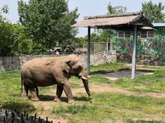 -西安秦岭野生动物园