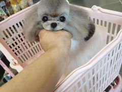-萌兽医馆·眼科·异宠专科(三里屯店)