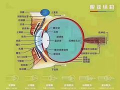 -华彬眼镜专业渐进配镜(潘家园店)