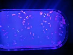 -厦门海底世界