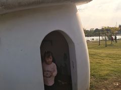 -上海都市菜园