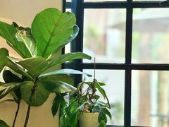 -一尺花园(安和花园店)