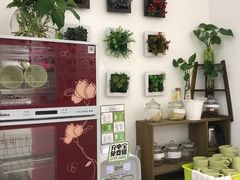 -蕃茄田艺术•美术绘画 •硬笔书法(滨江海威领界店)