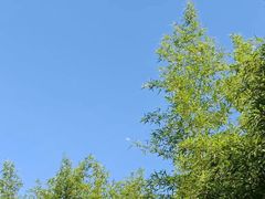 -杭州植物园