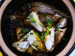 砂锅剥皮鱼-板桥海鲜广场(文明东店)