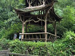 -青城山